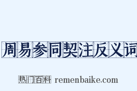 周易参同契注反义词是什么意思的图片
